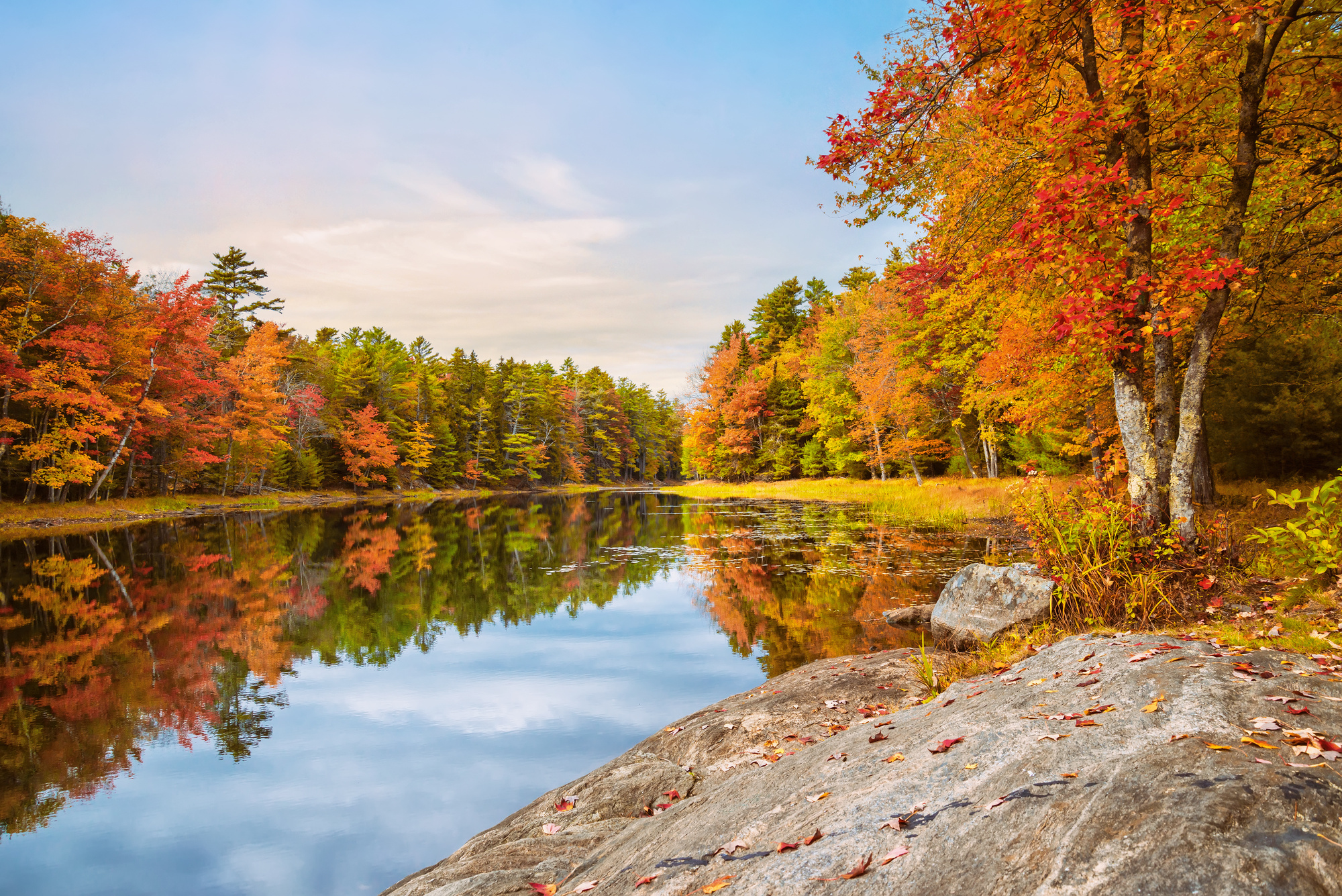 Fall foilage